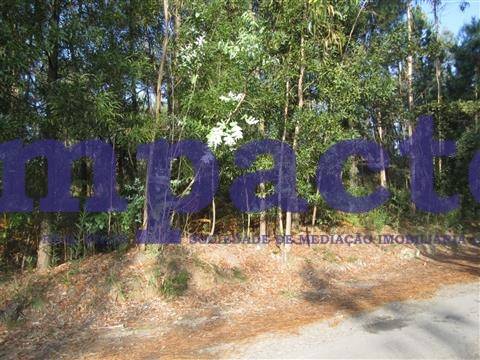 Terreno em Pigeiros, Santa Maria da Feira
