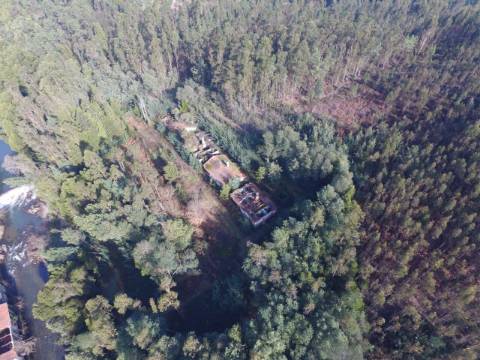 Quinta para reconstruir junto ao Rio Caima em Palmaz, Oliveira de Azeméis