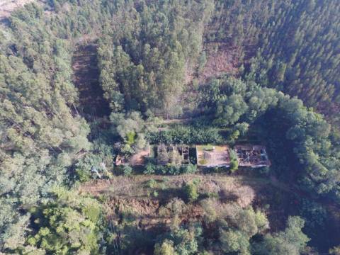 Quinta para reconstruir junto ao Rio Caima em Palmaz, Oliveira de Azeméis