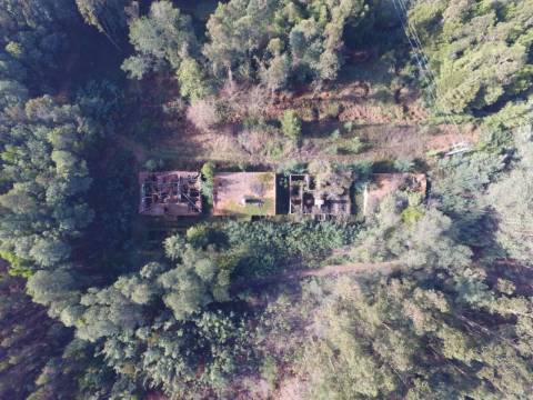 Quinta para reconstruir junto ao Rio Caima em Palmaz, Oliveira de Azeméis