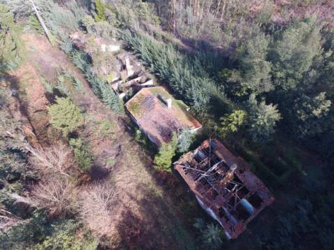 Quinta para reconstruir junto ao Rio Caima em Palmaz, Oliveira de Azeméis