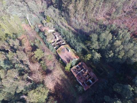 Quinta para reconstruir junto ao Rio Caima em Palmaz, Oliveira de Azeméis