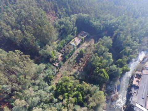 Quinta para reconstruir junto ao Rio Caima em Palmaz, Oliveira de Azeméis