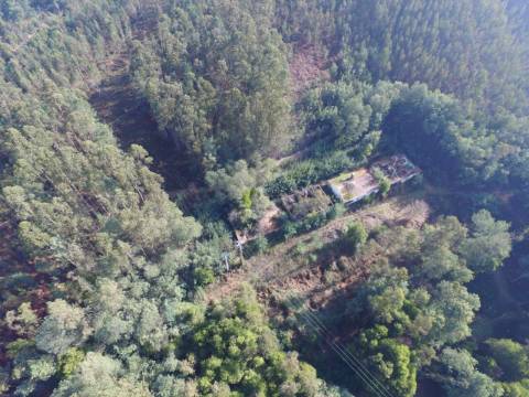 Quinta para reconstruir junto ao Rio Caima em Palmaz, Oliveira de Azeméis