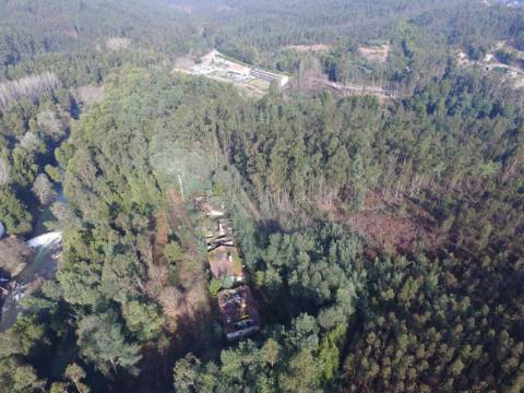 Quinta para reconstruir junto ao Rio Caima em Palmaz, Oliveira de Azeméis