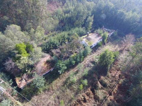 Quinta para reconstruir junto ao Rio Caima em Palmaz, Oliveira de Azeméis