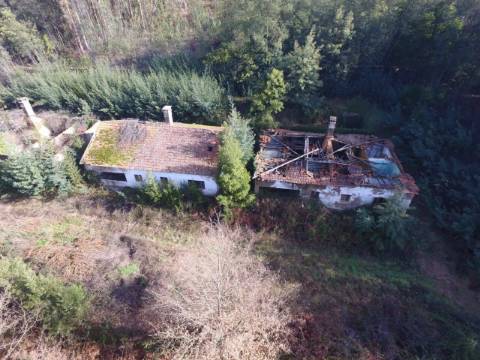 Quinta para reconstruir junto ao Rio Caima em Palmaz, Oliveira de Azeméis