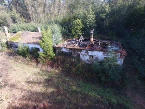Quinta para reconstruir junto ao Rio Caima em Palmaz, Oliveira de Azeméis