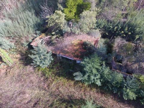 Quinta para reconstruir junto ao Rio Caima em Palmaz, Oliveira de Azeméis
