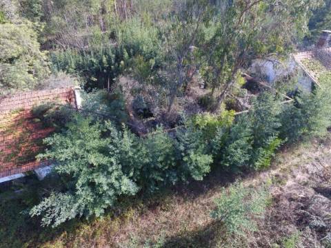 Quinta para reconstruir junto ao Rio Caima em Palmaz, Oliveira de Azeméis