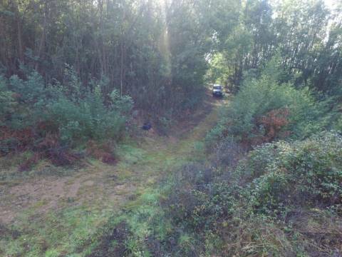 Quinta para reconstruir junto ao Rio Caima em Palmaz, Oliveira de Azeméis