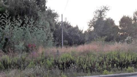 Terreno construção Oliveira de Azeméis