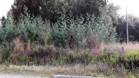 Terreno construção Oliveira de Azeméis