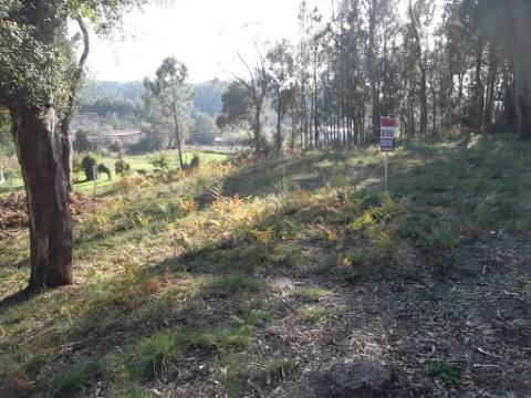 Terreno para construção em Oliveira de Azeméis