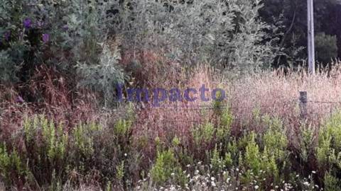 Terreno para construção Oliveira de Azeméis