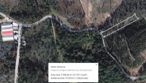 Terreno Florestal em Romariz, Santa Maria da Feira