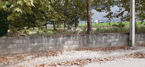 Terreno para construção em São Roque, Oliveira de Azeméis.