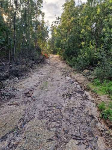 Quinta/terreno com cinco casas em pedra para recuperar