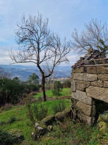 Quinta/terreno com cinco casas em pedra para recuperar