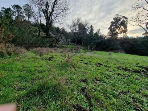 Quinta/terreno com cinco casas em pedra para recuperar