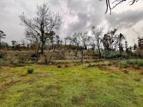 Quinta/terreno com cinco casas em pedra para recuperar