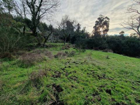 Quinta/terreno com cinco casas em pedra para recuperar