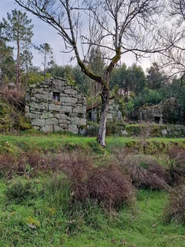 Quinta/terreno com cinco casas em pedra para recuperar