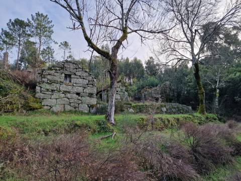 Quinta/terreno com cinco casas em pedra para recuperar