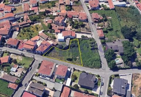 Terreno com ruína em Faria de Cima, Vila de Cucujães