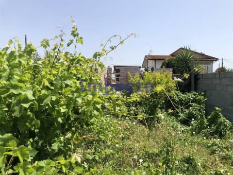 Moradia T1 para restaurar em Cucujães, Oliveira de Azeméis