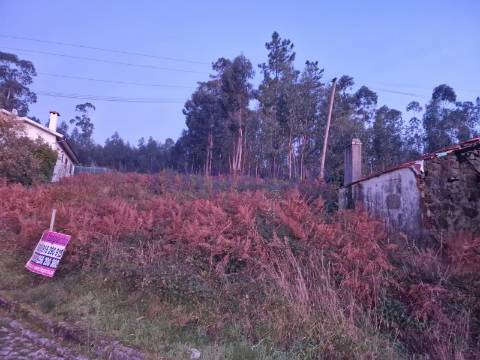 Terreno Rústico em Escariz, Arouca