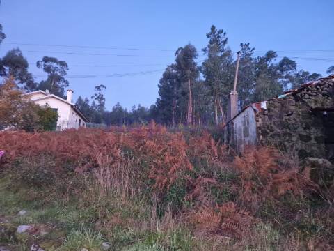 Terreno Rústico em Escariz, Arouca
