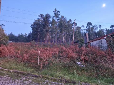Terreno Rústico em Escariz, Arouca
