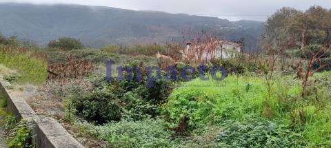 Terreno rústico em Palmaz, Oliveira de Azeméis