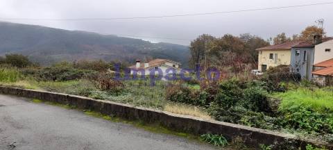 Terreno rústico em Palmaz, Oliveira de Azeméis