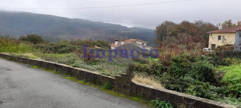 Terreno rústico em Palmaz, Oliveira de Azeméis