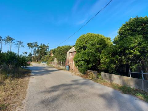 Venda Judicial de Armazém em Bom Sucesso