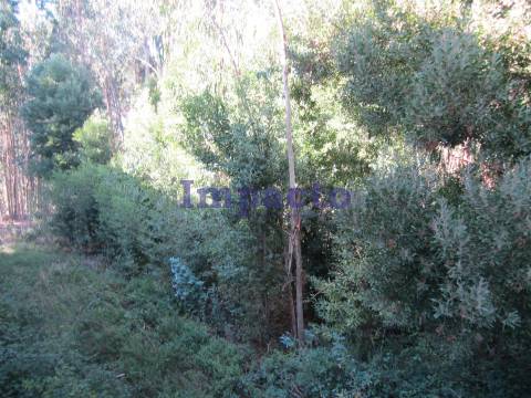 Pavilhão Industrial em Nogueira do Cravo, Oliveira de Azeméis.