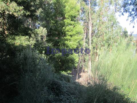 Pavilhão Industrial em Nogueira do Cravo, Oliveira de Azeméis.