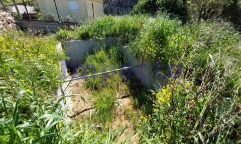 Moradias para reconstrução em Ossela, Oliveira de Azeméis