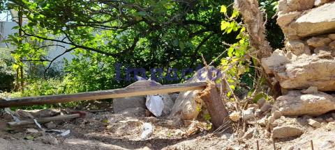 Terreno em Vila de Cucujães, Oliveira de Azeméis