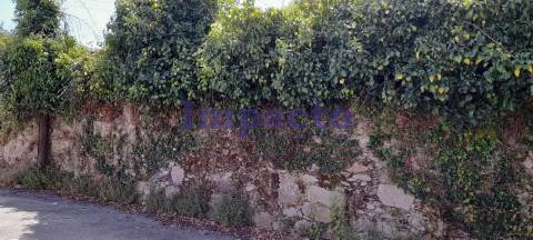 Terreno em Vila de Cucujães, Oliveira de Azeméis