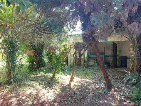 Moradia T4 para remodelar em São João da Madeira