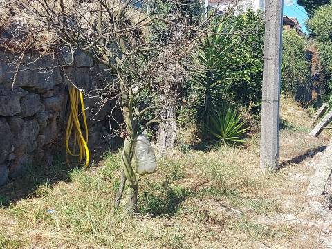 Terreno para construção em Mansores, Arouca.