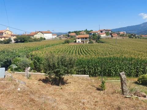 Terreno para construção em Mansores, Arouca.
