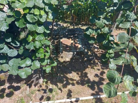 Terreno para construção em Mansores, Arouca.