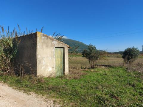 Venda judicial de terreno rústico em Cabanas de Torres, Alenquer