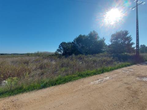 Venda judicial de terreno rústico em Cabanas de Torres, Alenquer