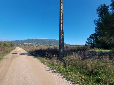 Venda judicial de terreno rústico em Cabanas de Torres, Alenquer
