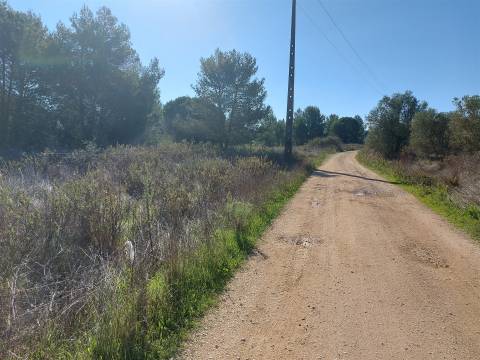 Venda judicial de terreno rústico em Cabanas de Torres, Alenquer